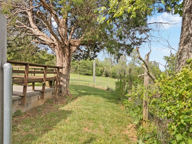 view of yard