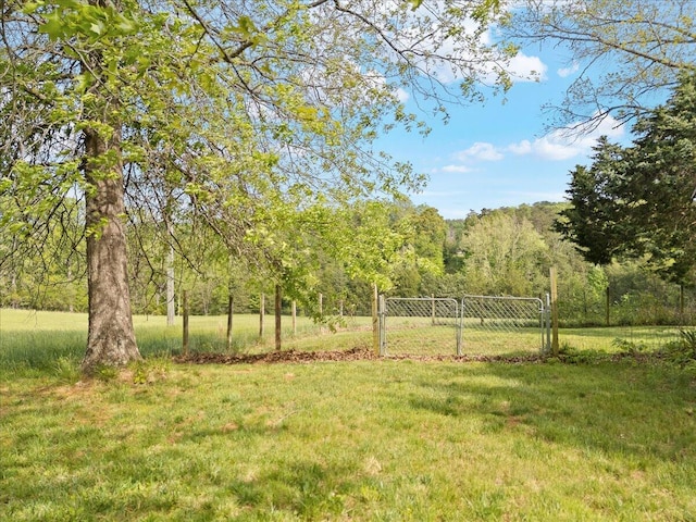 view of yard featuring a gate and a view of trees