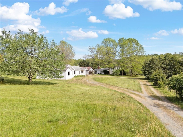 view of yard with driveway