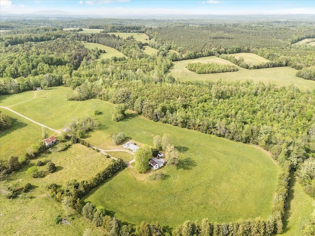 aerial view with a forest view