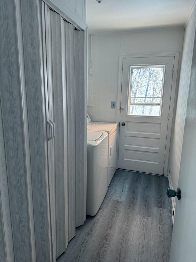 1615 Dolly Ann Dr, Covington, VA 24426 - laundry room with independent washer and dryer and light wood-type flooring