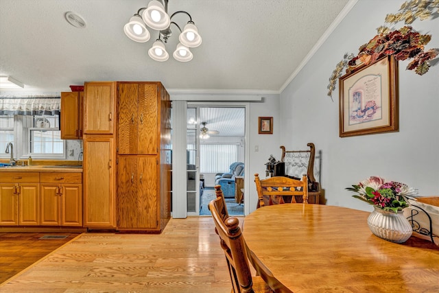 10131 Sontag Rd, Martinsville, VA 24112 - dining area featuring ornamental molding, a textured ceiling, light wood-style floors, and a wealth of natural light