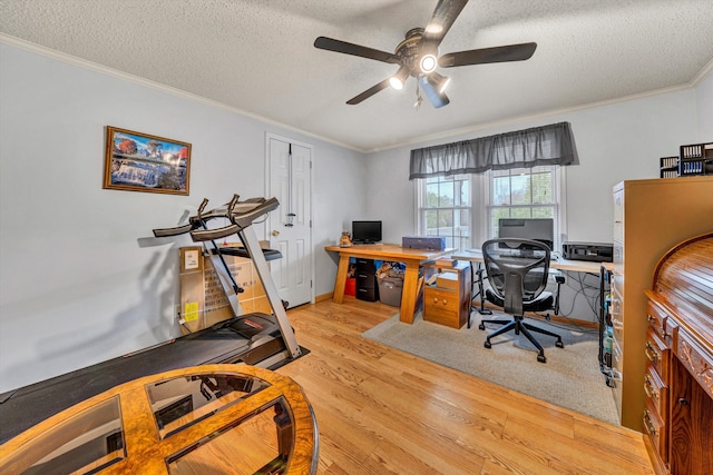 10131 Sontag Rd, Martinsville, VA 24112 - office featuring a textured ceiling, ceiling fan, crown molding, and light wood-type flooring
