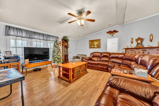 10131 Sontag Rd, Martinsville, VA 24112 - living room featuring vaulted ceiling, ornamental molding, a textured ceiling, light wood-style floors, and ceiling fan
