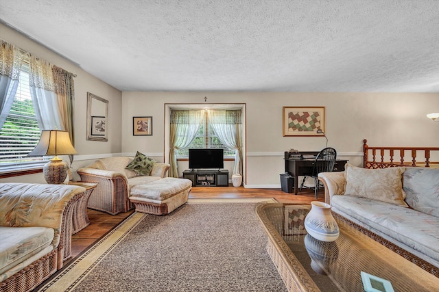 113 Lake Park Dr, Union Hall, VA 24176 - living room featuring a textured ceiling and wood finished floors