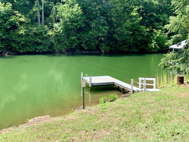113 Lake Park Dr, Union Hall, VA 24176 - view of dock featuring a water view