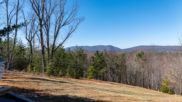 view of mountain feature with a wooded view