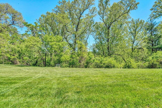view of yard with a wooded view