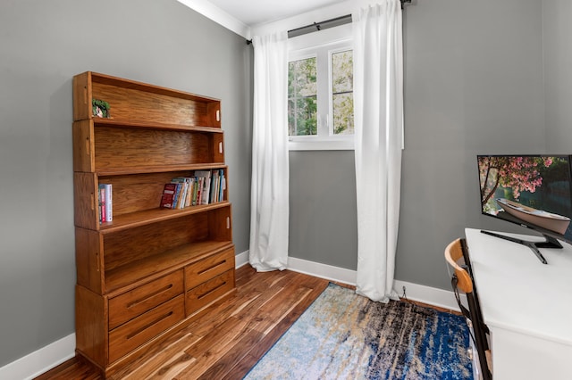 office with baseboards and wood finished floors
