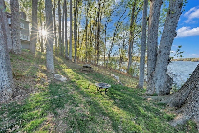 1791 Windlass Rd, Moneta, VA 24121 - view of yard with a water view and a fire pit