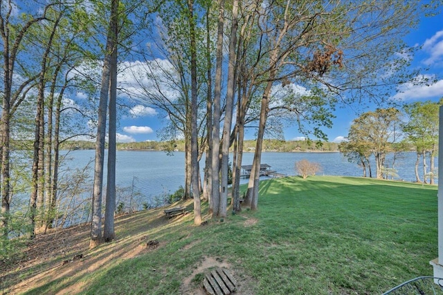 1791 Windlass Rd, Moneta, VA 24121 - property view of water