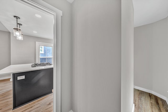 535 Day Ave SW, Roanoke, VA 24016 - detailed view of wood finished floors and stainless steel gas stovetop