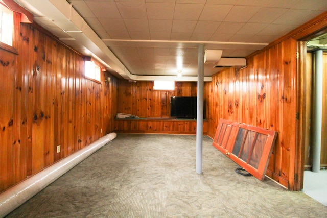 2048 Laura Rd NW, Roanoke, VA 24017 - below grade area with wood walls and carpet floors