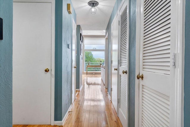 114 Waterside Cir Unit B-6, Moneta, VA 24121 - hall with light wood-style floors and baseboards