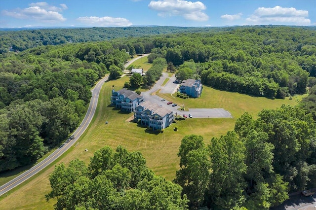 114 Waterside Cir Unit B-6, Moneta, VA 24121 - bird's eye view of a forest