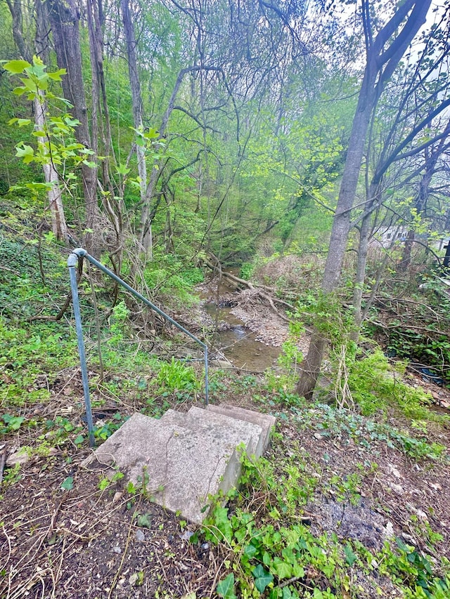 view of local wilderness