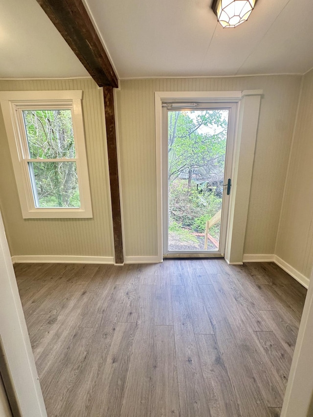 interior space featuring wood finished floors, a healthy amount of sunlight, and baseboards