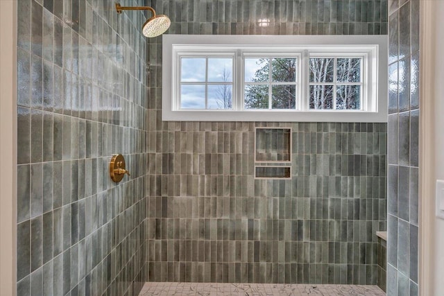 120 Pointe O Woods Dr, Huddleston, VA 24104 - bathroom featuring tiled shower
