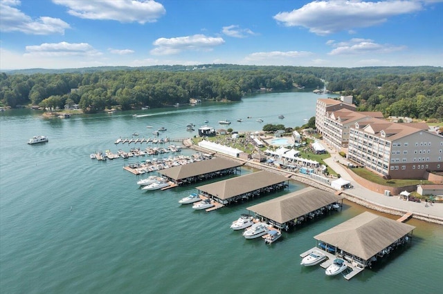 120 Pointe O Woods Dr, Huddleston, VA 24104 - bird's eye view of a heavily wooded area and a large body of water