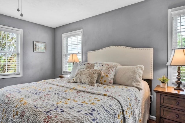 bedroom featuring multiple windows