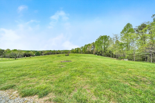 view of yard with a rural view