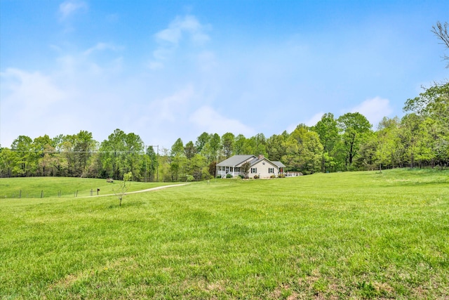 view of yard with a rural view and a view of trees