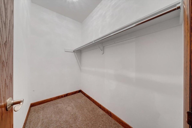 723 Fox Chase Rd, Wirtz, VA 24184 - spacious closet with carpet flooring