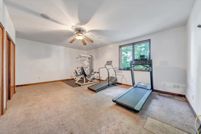 723 Fox Chase Rd, Wirtz, VA 24184 - exercise area with a ceiling fan, carpet flooring, and baseboards