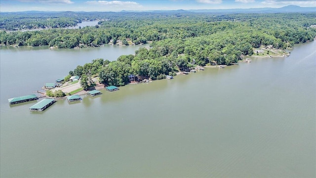 723 Fox Chase Rd, Wirtz, VA 24184 - drone / aerial view of a forest and a large body of water