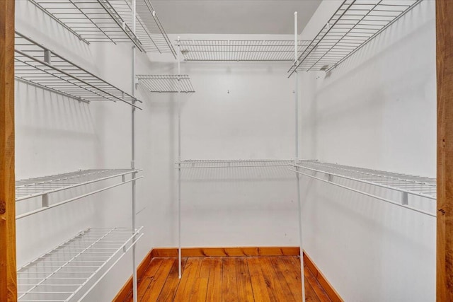spacious closet featuring hardwood / wood-style flooring