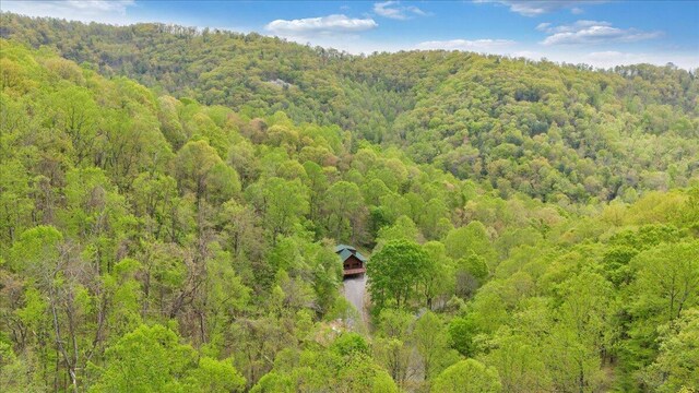 bird's eye view featuring a wooded view