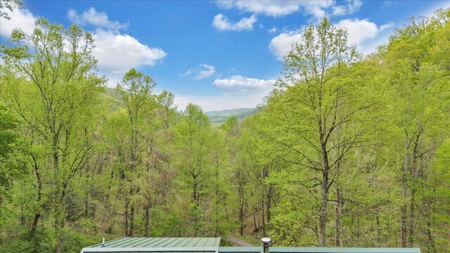 property view of mountains with a wooded view