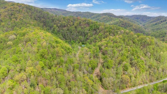 mountain view with a wooded view