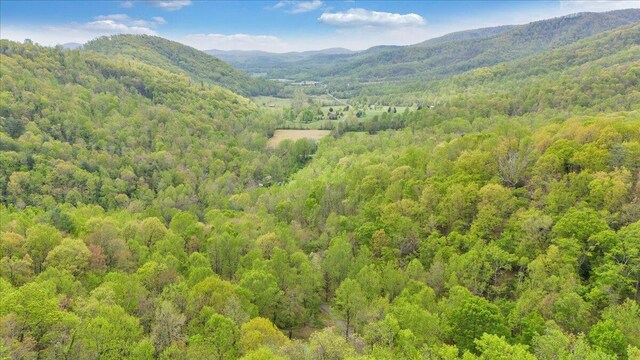 mountain view with a view of trees