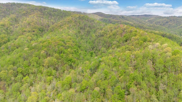 view of mountain feature with a wooded view