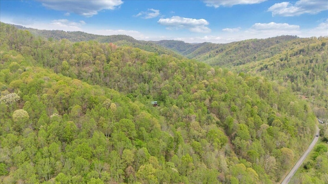 view of mountain feature with a forest view