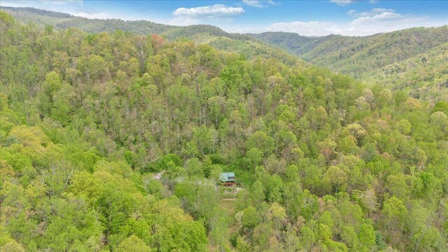 birds eye view of property with a wooded view and a mountain view