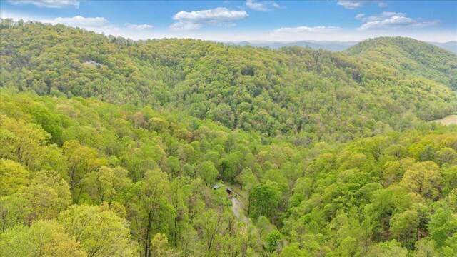 bird's eye view featuring a mountain view and a wooded view