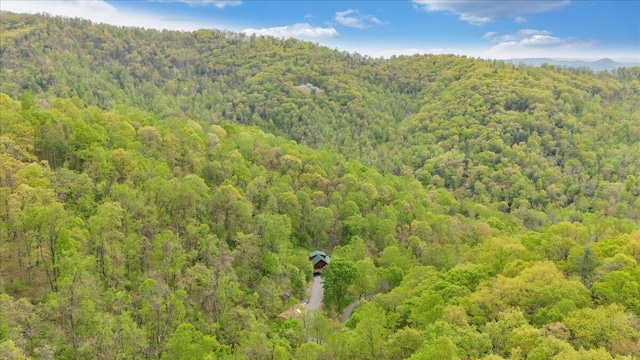 bird's eye view with a view of trees