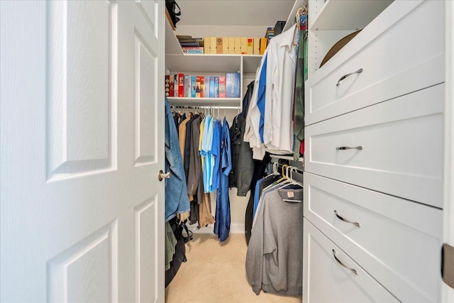 walk in closet with light carpet