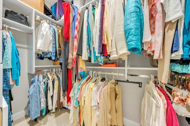 view of walk in closet