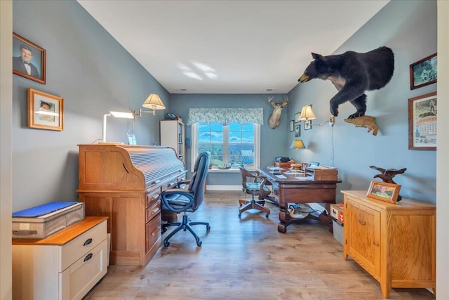 398 River Ridge Rd SE, Copper Hill, VA 24079 - office with light wood-style floors