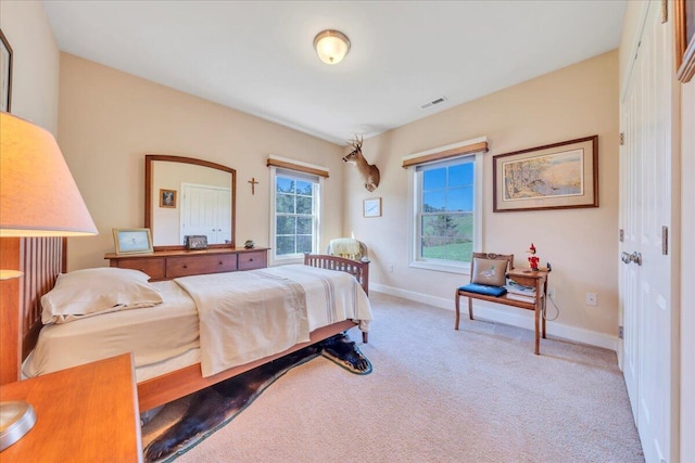 398 River Ridge Rd SE, Copper Hill, VA 24079 - bedroom with carpet and baseboards