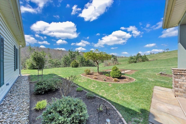 398 River Ridge Rd SE, Copper Hill, VA 24079 - view of grassy yard