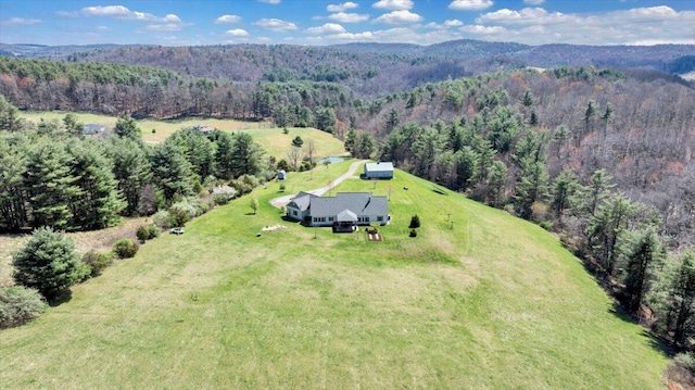 398 River Ridge Rd SE, Copper Hill, VA 24079 - overview of rural landscape with a forest