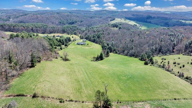 398 River Ridge Rd SE, Copper Hill, VA 24079 - drone / aerial view of a forest and a mountainous background