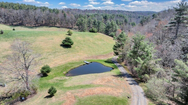398 River Ridge Rd SE, Copper Hill, VA 24079 - aerial view of a forest and a nearby body of water