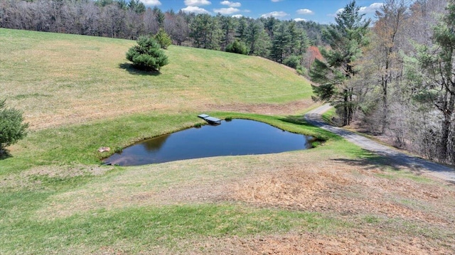 398 River Ridge Rd SE, Copper Hill, VA 24079 - bird's eye view of a large body of water
