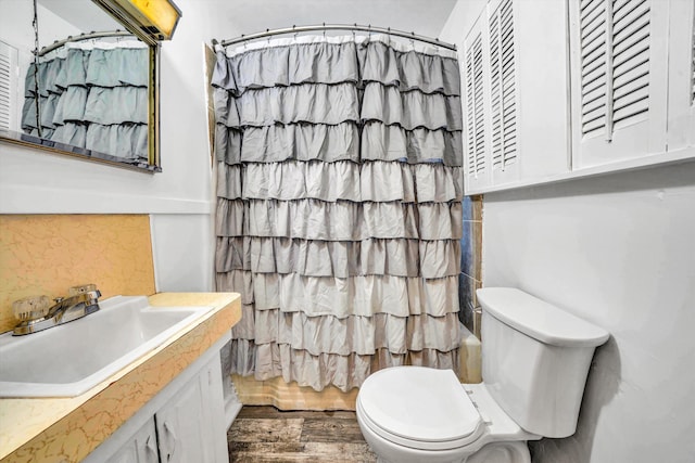 2513 Liberty Rd NW, Roanoke, VA 24012 - bathroom with toilet, wood finished floors, vanity, and backsplash