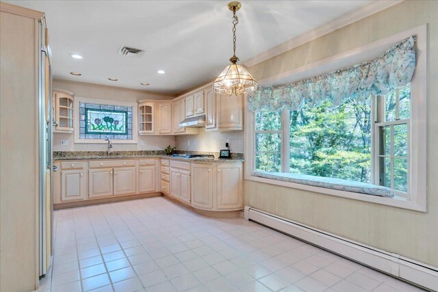 5241 N Spring Dr, Roanoke, VA 24019 - kitchen with baseboard heating, under cabinet range hood, crown molding, glass insert cabinets, and a sink